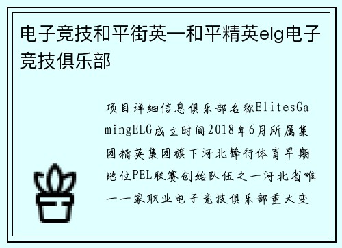 电子竞技和平街英—和平精英elg电子竞技俱乐部